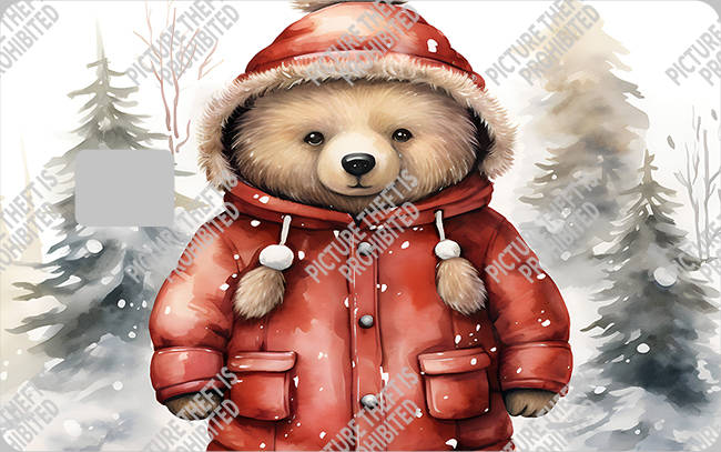 Bank  Card Sticker-BC-2623